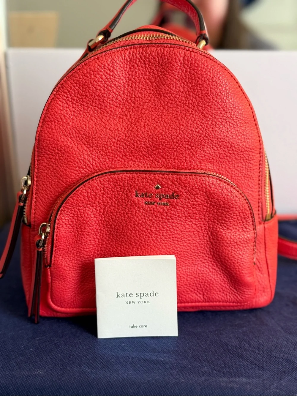 Kate Spade Carter Street Mini Caden Backpack Pebbled Leather Picnic Red
